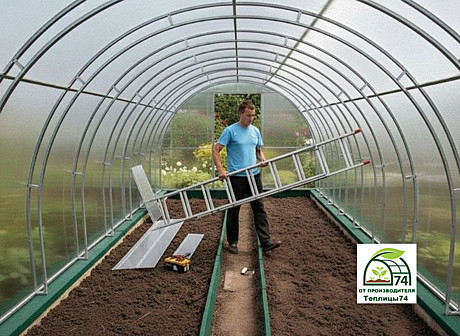 Теплица 3х4 (Двойная дуга, профиль 20х20, поликарбонат Практик 4 мм, плотность 0,52)